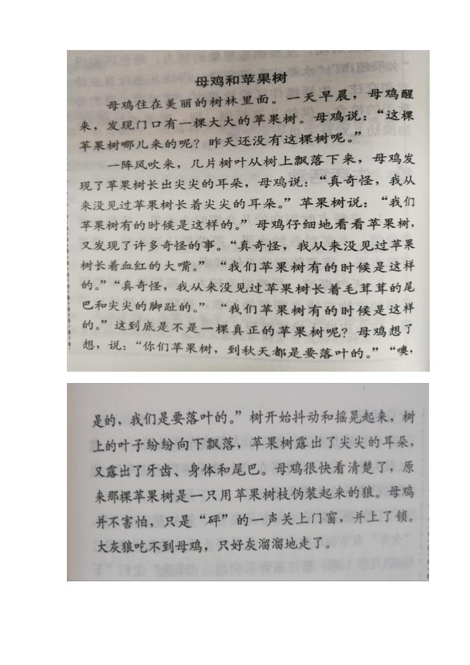 中班语言《母鸡和苹果树》PPT课件教案中班语言《母鸡和苹果树》教学设计.docx_第3页