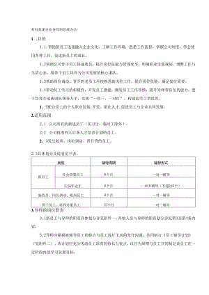 科技集团企业导师制管理办法.docx