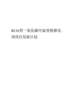 2024年B116型一氧化碳中温变换催化剂项目发展计划.docx