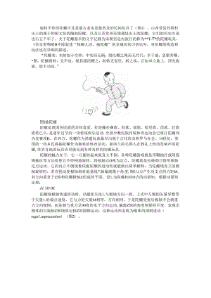 抽陀螺与刚体的规则进动.docx