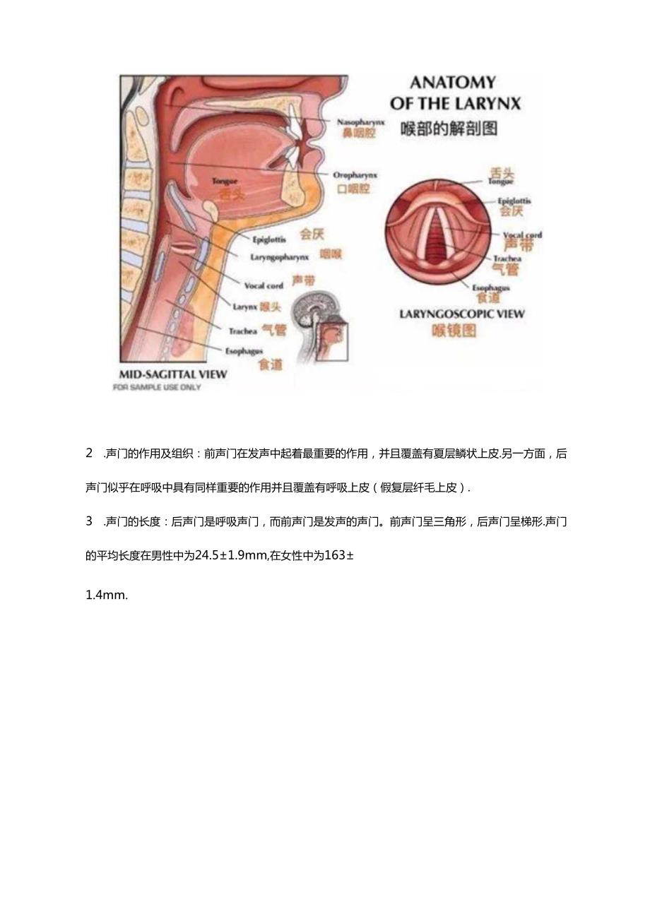 清醒患者气管插管技术.docx_第3页