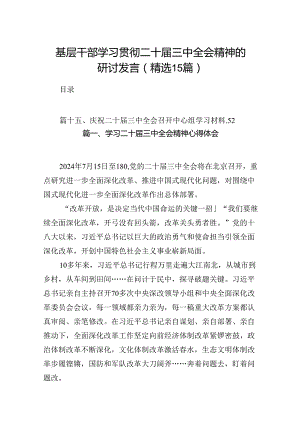 基层干部学习贯彻二十届三中全会精神的研讨发言(精选15篇).docx