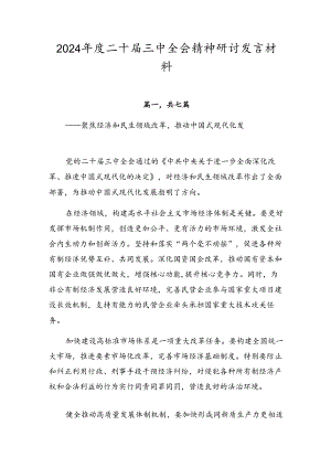 2024年度二十届三中全会精神研讨发言材料.docx