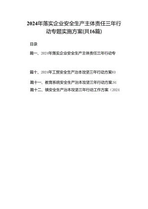 2024年落实企业安全生产主体责任三年行动专题实施方案 （汇编16份）.docx