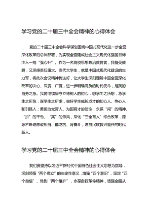 党员关于学习二十届三中全会精神心得体会发言稿(二十三篇).docx