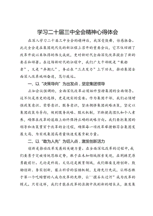 国企党员干部学习二十届三中全会精神心得体会.docx