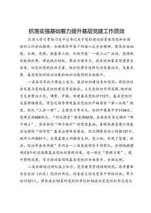 交流发言：抓落实强基础 着力提升基层党建工作质效.docx