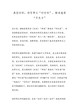 典型材料：领导带头“村村到”精准施策“开良方”.docx