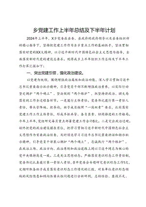 某乡2024年上半年党建工作总结及下半年计划.docx