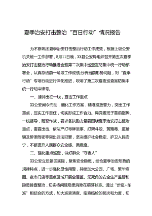 公安深入推进夏季治安打击整治行动情况报告十篇.docx