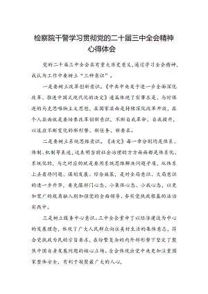 检察院干警学习贯彻党的二十届三中全会精神心得体会范文.docx