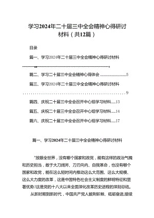 学习2024年二十届三中全会精神心得研讨材料 （汇编12份）.docx