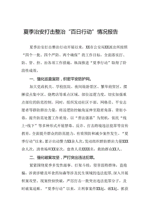 2024年公安推动夏季治安打击整治行动的情况报告13篇.docx