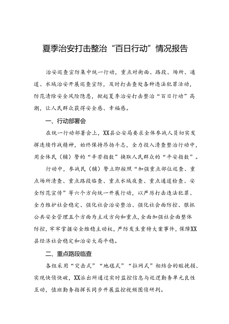 公安2024夏季治安打击整治“百日行动”总结报告6篇.docx_第1页