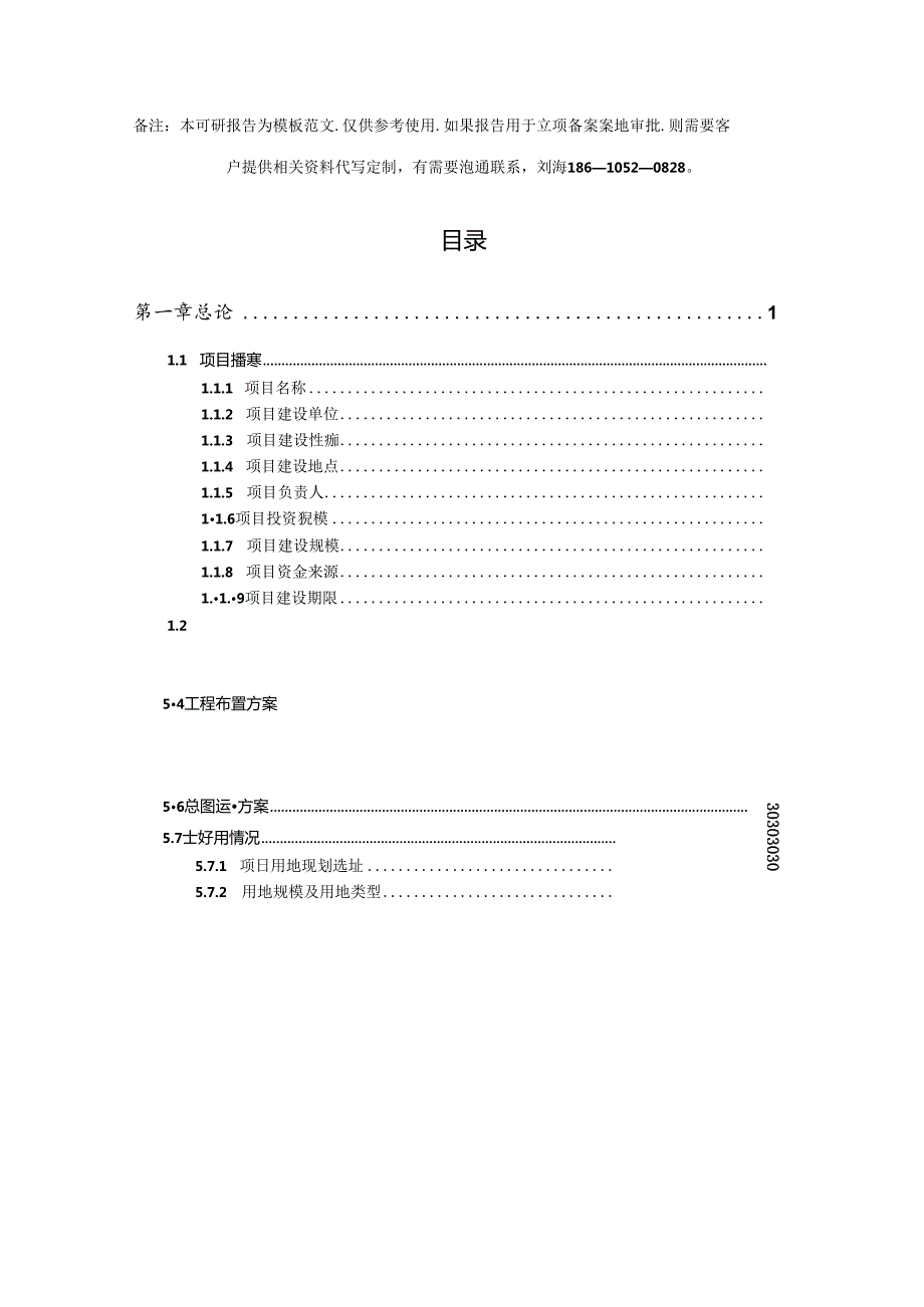 年产11000吨锂离子电池负极材料项目可行性研究报告模板.docx_第2页