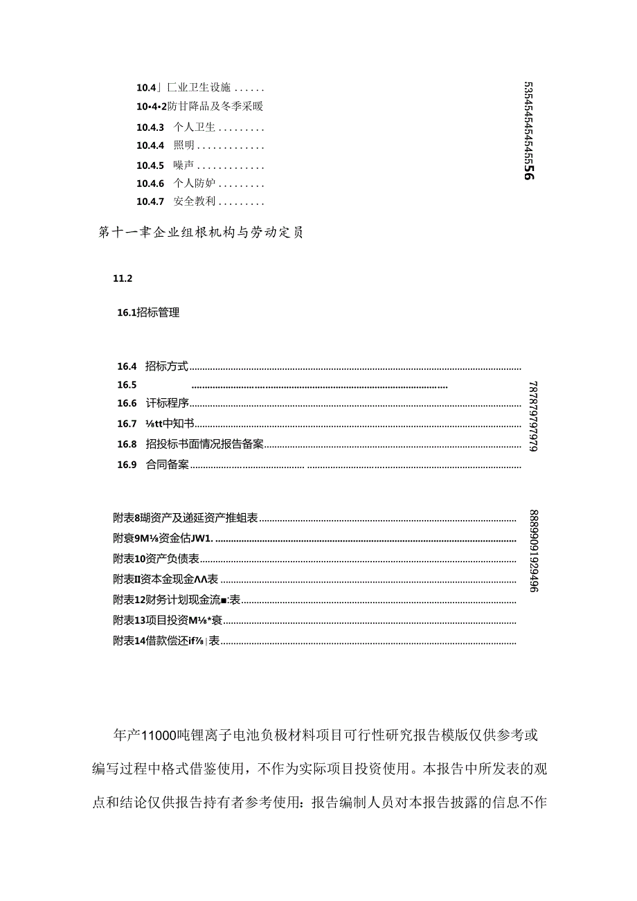 年产11000吨锂离子电池负极材料项目可行性研究报告模板.docx_第3页