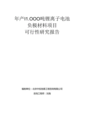 年产11000吨锂离子电池负极材料项目可行性研究报告模板.docx