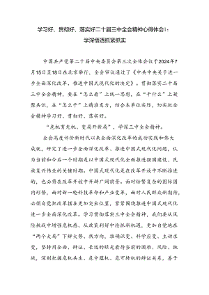 学习好、贯彻好、落实好“怎么看、干什么、怎么办”学习党的二十届三中全会精神心得体会3篇.docx