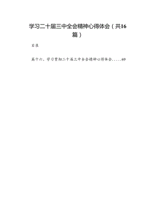 学习二十届三中全会精神心得体会精选(通用16篇).docx