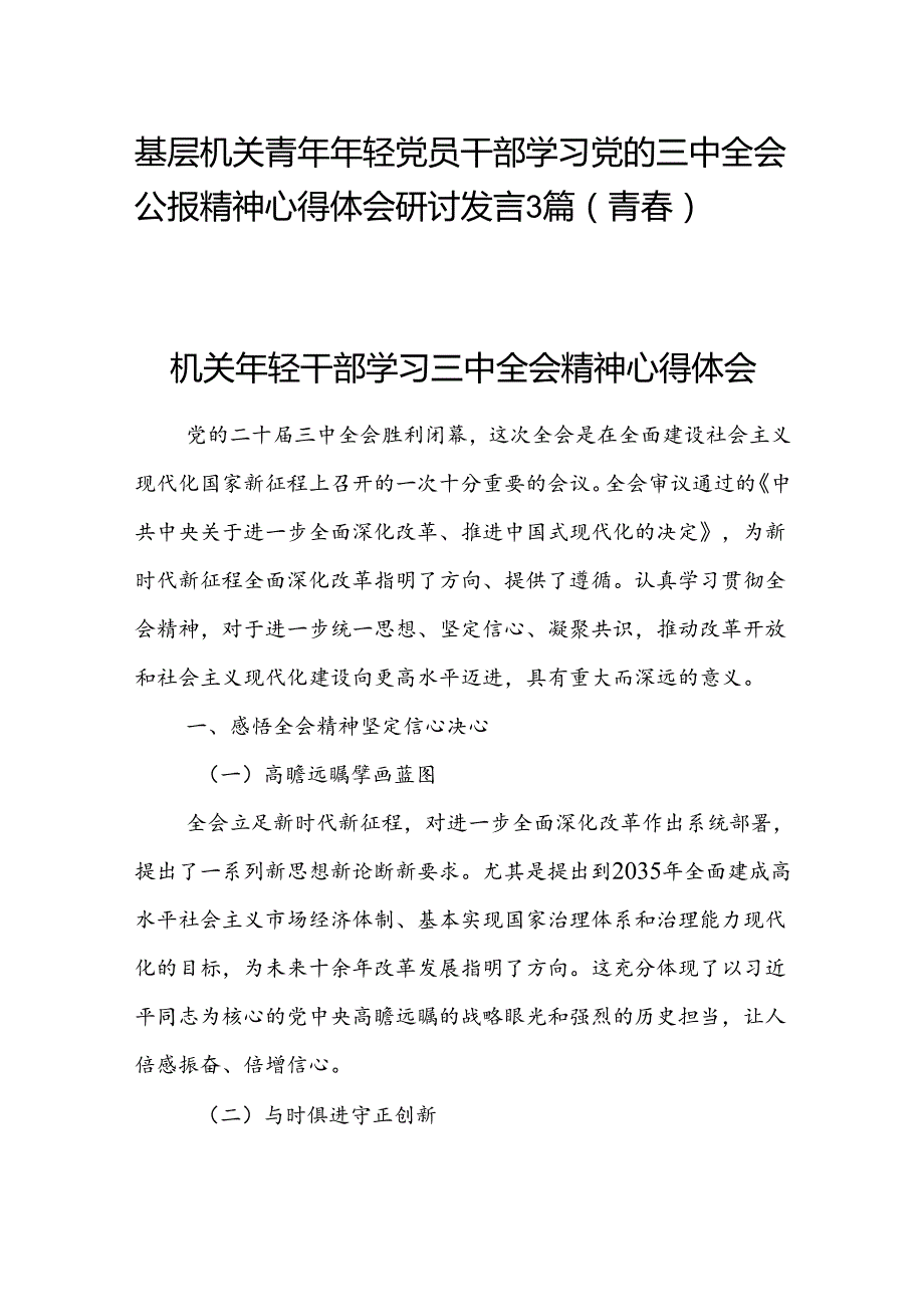 基层机关青年年轻党员干部学习党的三中全会公报精神心得体会研讨发言3篇（青春）.docx_第1页