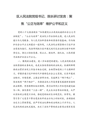 区人民法院党组书记、院长研讨发言：聚焦“公正与效率”维护公平和正义.docx