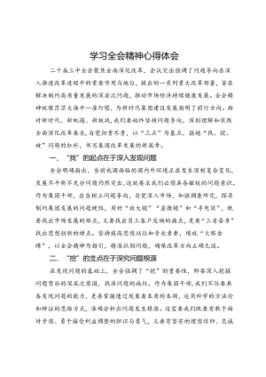 二十届三中全会精神学习心得体会.docx