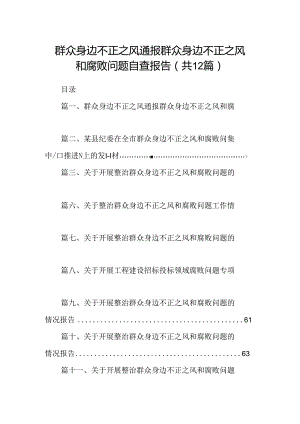 群众身边不正之风通报群众身边不正之风和腐败问题自查报告（共12篇）.docx