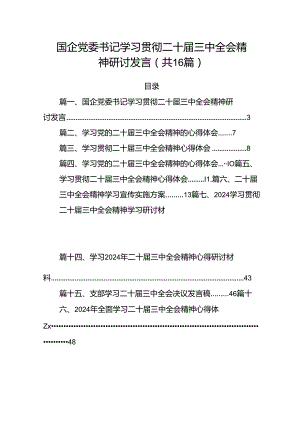 国企党委书记学习贯彻二十届三中全会精神研讨发言（共16篇）.docx