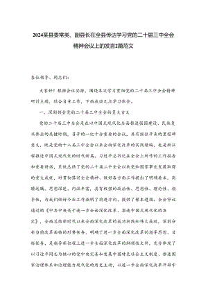 2024某县委常委、副县长在全县传达学习党的二十届三中全会精神会议上的发言2篇范文.docx