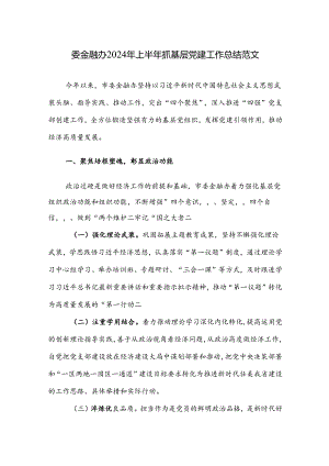 委金融办2024年上半年抓基层党建工作总结范文.docx