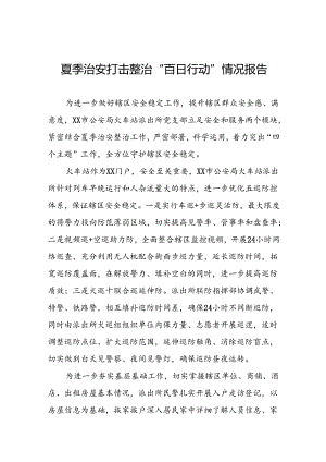 公安夏季治安打击整治工作总结报告(七篇).docx