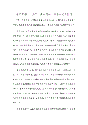 学习贯彻二十届三中全会精神心得体会发言材料.docx