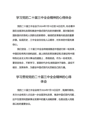 学习二十届三中全会精神心得体会简短发言(二十三篇).docx