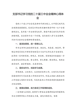 支部书记学习党的二十届三中全会精神心得体会.docx