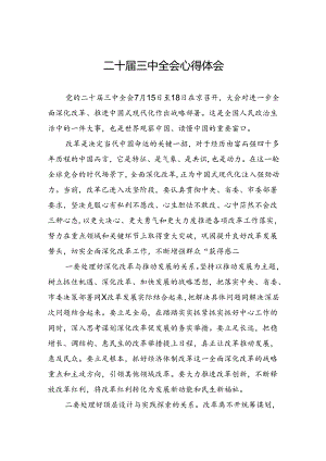 二十届三中全会心得体会 (3篇).docx