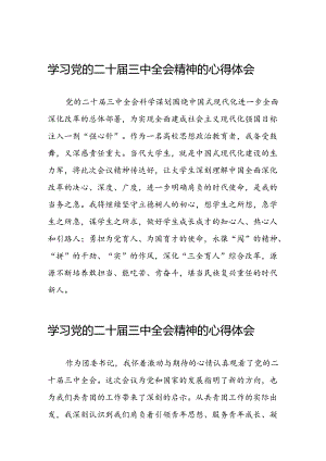 学习党的二十届三中全会的心得体会发言材料三十篇.docx