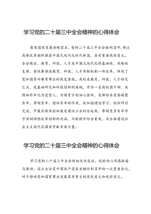 2024年关于学习二十届三中全会精神心得体会最新版三十篇.docx