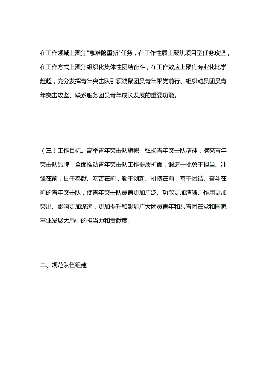 关于加强新时代青年突击队工作的意见.docx_第2页