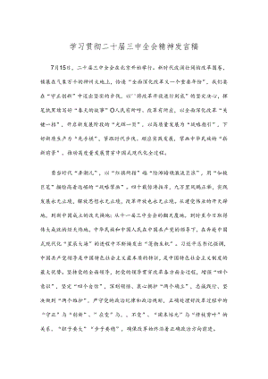 学习贯彻二十届三中全会精神发言稿.docx