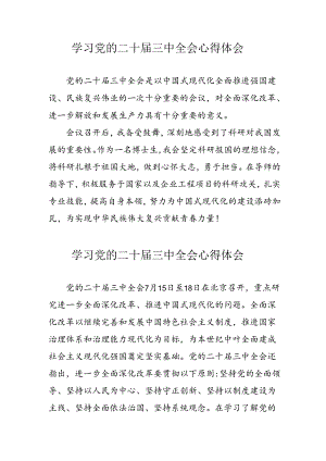 学习2024年党的二十届三中全会个人心得体会 （汇编12份）.docx