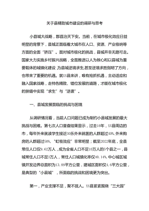 关于县精致城市建设的调研与思考.docx