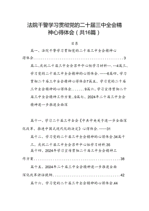 法院干警学习贯彻党的二十届三中全会精神心得体会16篇（详细版）.docx