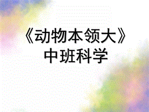 中班科学《动物本领大》PPT课件教案《动物本领大》.pptx