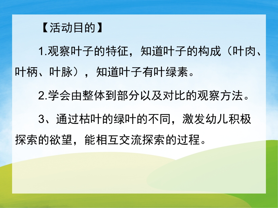 中班科学活动《叶子的秘密》PPT课件教案PPT课件.pptx_第2页