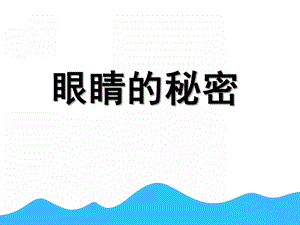 中班健康《眼睛的秘密》PPT课件教案眼睛的秘密.pptx