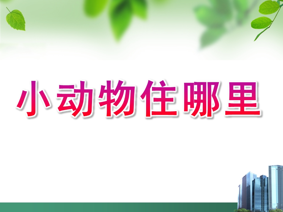 中班数学《小动物住哪里》PPT课件教案中班数学：小动物住哪里.pptx_第1页