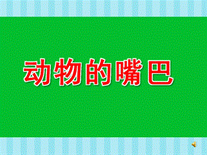 中班科学《动物的嘴巴》PPT课件教案配音ppt课件.pptx