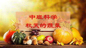 中班科学《天的蔬菜》PPT课件中班科学《天的蔬菜》PPT课件.pptx