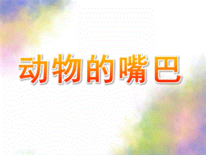 中班科学《动物的嘴巴》PPT课件教案中班科学《动物的嘴巴》.pptx