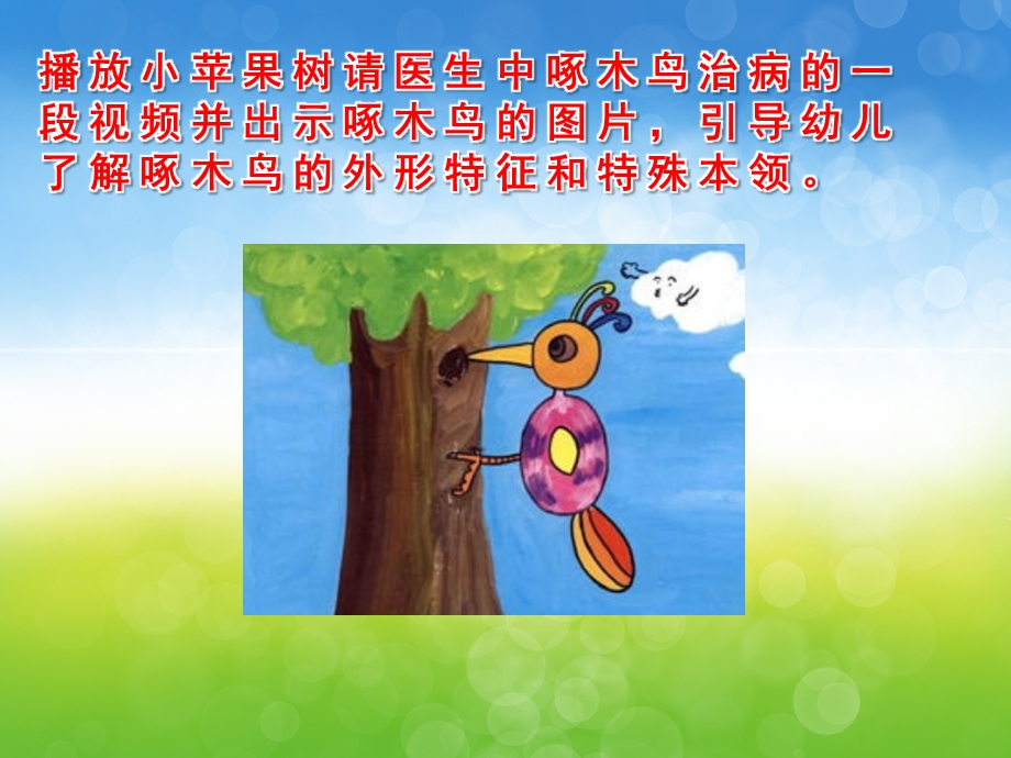 中班美术《啄木鸟》PPT课件教案音乐视频PPT课件.pptx_第3页